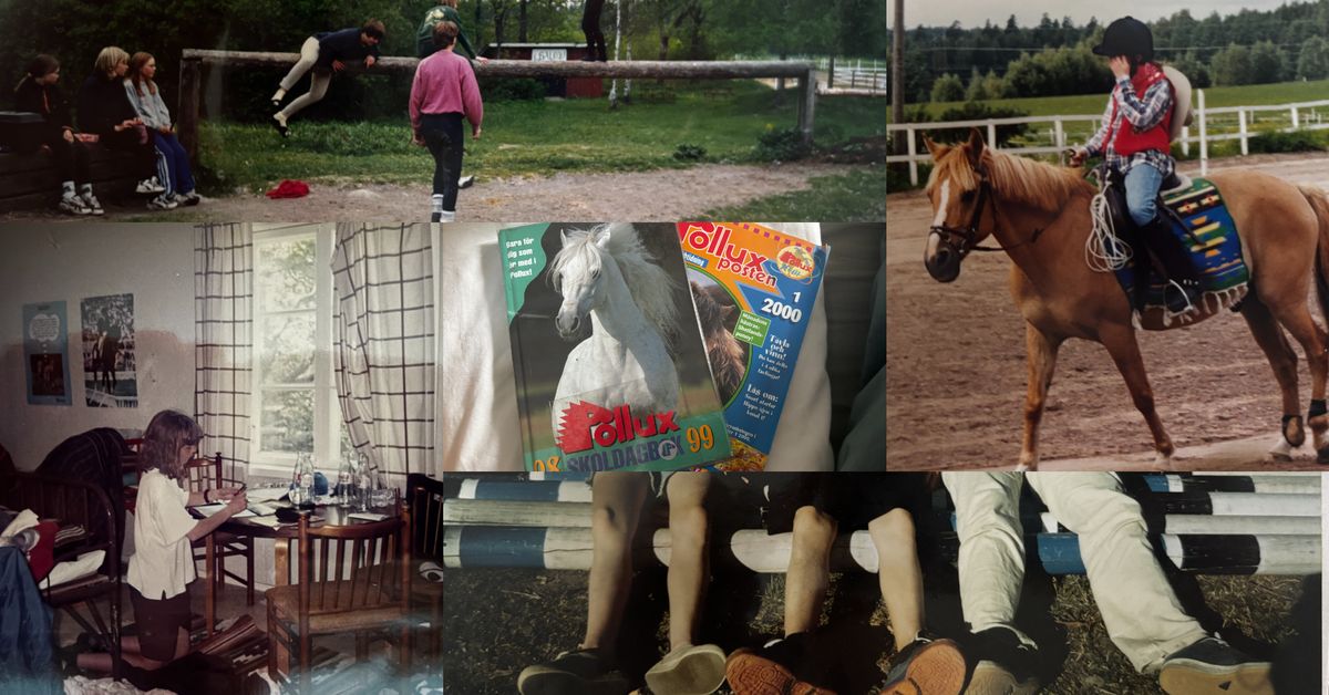 The social hub of the 1990s: Life inside the local stables - livsstil news from Yle