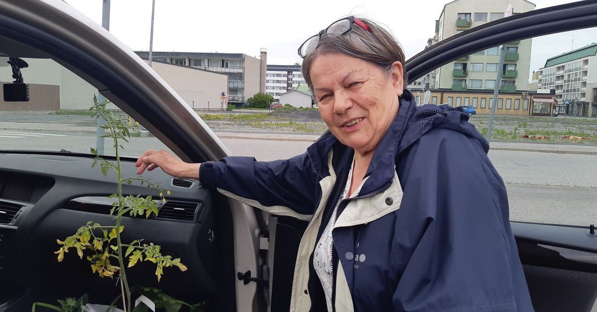 REKO-ryhmien suosio kasvaa Lapissa: asiakkaiden mielestä on tärkeää ...