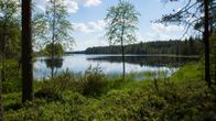 Järvimaisemaa Tiilikkajärven kansallispuistossa.