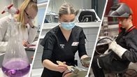 Kolme pian valmistuvaa ammattikoululaista kuvakollaasissa.