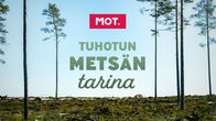 Julistekuva MOT-jaksolle: Tuhotun metsän tarina.
