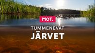 MOT: Tummenevat järvet -julistekuva. Kuvassa näkyy järven pohjaa sekä pintaa.