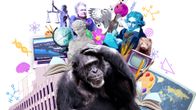 Kollaasi, jossa etualalla päätään raapiva gorilla, taustalla henkilöhahmoja, patsaita, kirjoja, karttapallo, kaavioita ja muuta sekalaista.