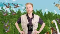 Toimittaja Tom Nylund kiikarit kaulassaan piirretyn metsämaiseman edessä.