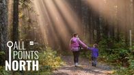 A parent and a child walk holding hands along a forest path.