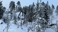 Moto hakkuukone katkoo puita talvisessa maisemassa Inarin alueella.