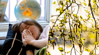 Kollaasi, jossa kuvituskuvassa flunssainen henkilö ja koivunoksia.