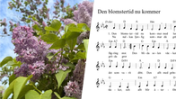 Ett kollage med lila syrenblommor till vänster och noterna till början av Den blomstertid nu kommer till höger.