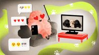 Piirros, jossa aivoja muistuttava hahmo katselee sydänsilmin televisiosta koiranpentuja ja pitelee kädessä älypuhelinta sekä viiriä, jossa on tassukuviota.