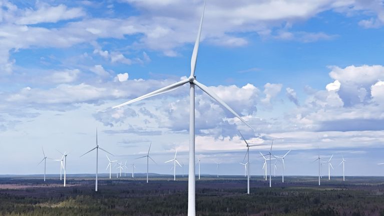 Wind turbines in a forest area.