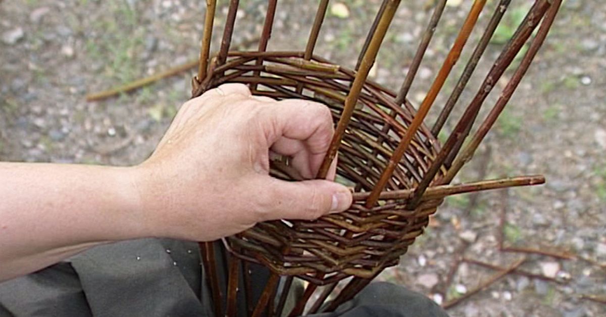 kukka-amppeli-pajusta-oppiminen-yle
