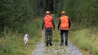 Kaksi metsästäjää kävelee koiran kanssa karhumetsälle Lappeenrannassa.