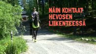 Ratsukko hiekkatiellä