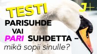 Testi: parisuhde vai pari suhdetta - mikä sopii sinulle?