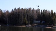 helikopteri leikkaa sähkölinjan vierestä puita saaressa