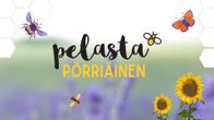 Pelasta pörriäinen nostokuva