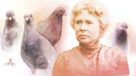 Constance Ullner, taustalla puluja