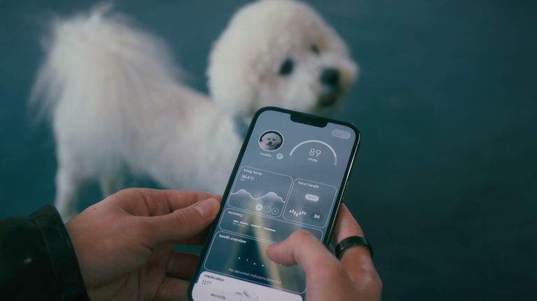 En närbild av en telefon med en hund i bakgrunden. 