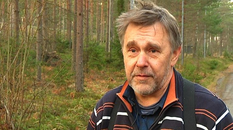 Raseborgs skogsbruksingenjör får arga samtal då närskogar avverkas – nu ...