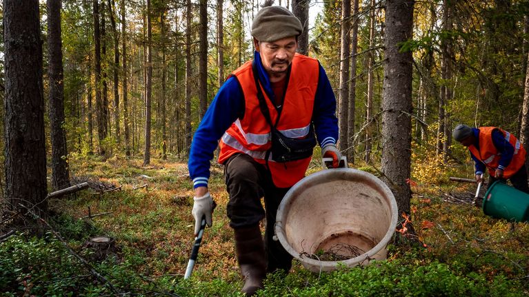 Marjanpoimintaa Kärsämäellä