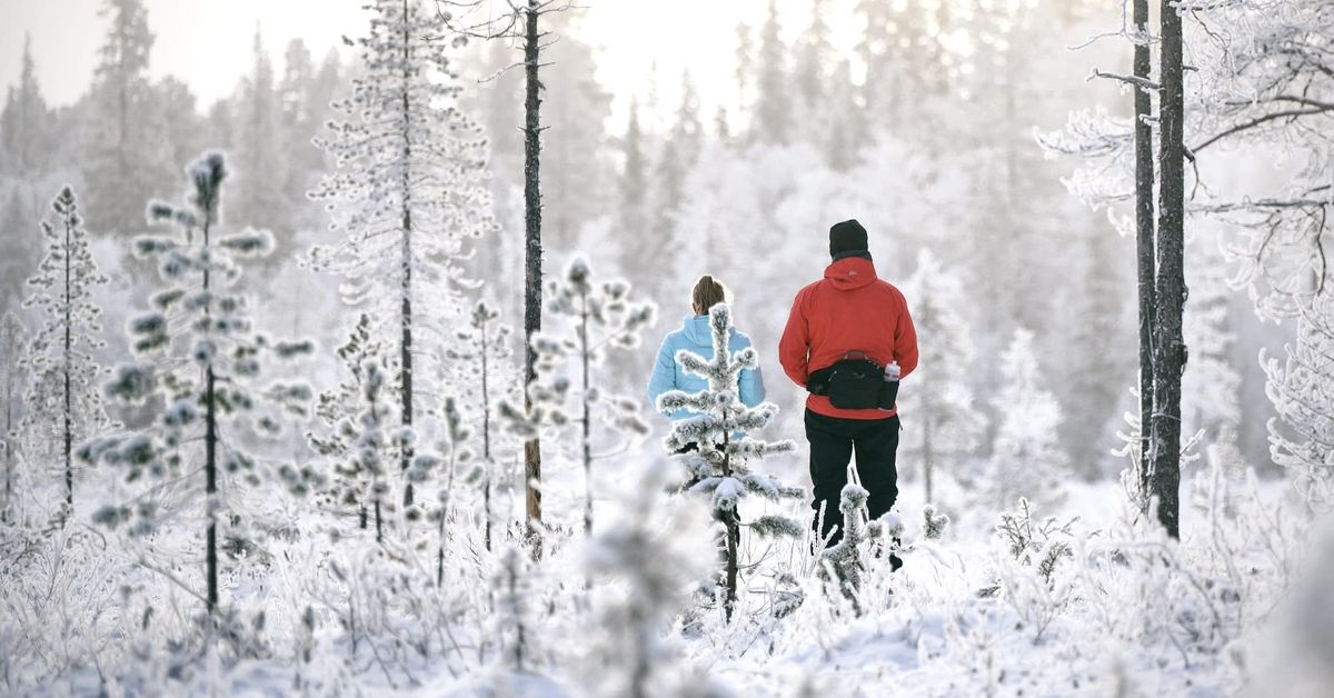 yle.fi