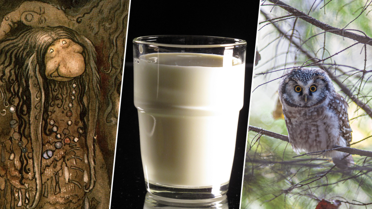 En illustration av ett troll, ett glas med mjölk och en uggla i ett träd syns i tre olika fält i bilden.