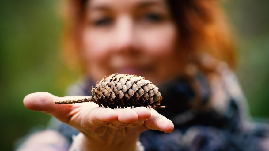 Reetta Ranta ihmettelee, miksi suomalaista kansanperinnettä väheksytään ...