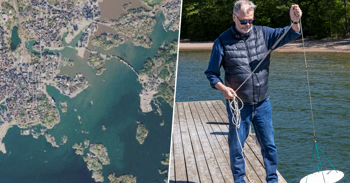 Itämeri muuttuu ruskeaksi sellaista tahtia, että se yllätti 
