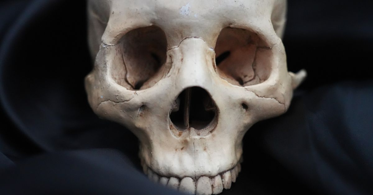 Uusi teos kertoo, miksi suomalaisessa magiassa käytettiin vainajien luita ja verisiä riittejä