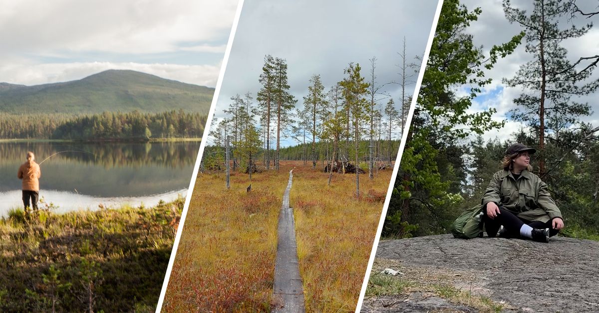 Neljä vaihtoehtoa suosituimmille retkikohteille – ota nämä v