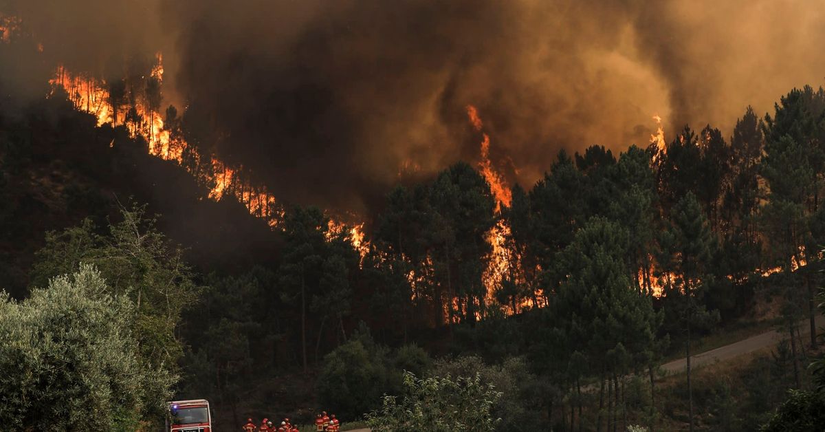 Finland sending 50 firefighters to Portugal for expected blazes