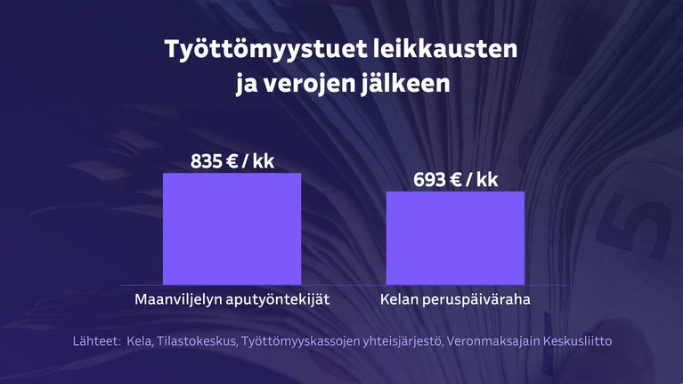 Grafiikka näyttää, että maanviljelijöiden aputyöntekijäiden työttömyystuki on keskimäärin 835 €/kk ja Kelan peruspäiväraha 693 €/kk. 