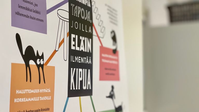 Työnohjaajista haetaan nyt apua eläinlääkäreiden uupumukseen ...
