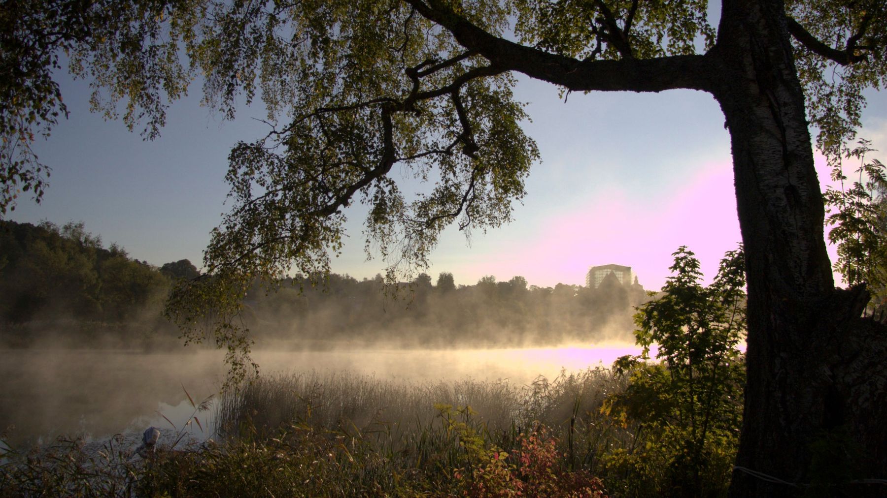 Porvoonjoki aamu-usvassa.