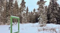 Talvinen maisema metsässä, jossa lumipeitteinen maasto ja vihreä kehys.