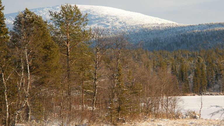 Talvinen tunturi