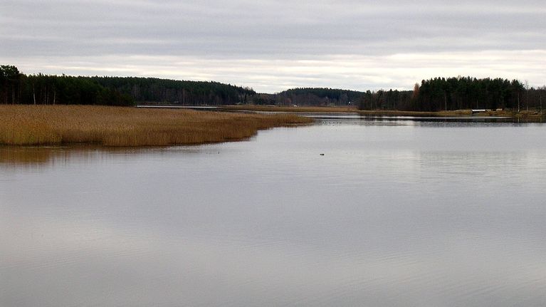 Syksyisen harmaana päivänä Evijärven rantaa on kuvattuna Inan kylän suunnalla.