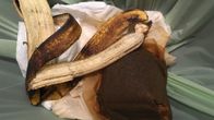 Bioroskiksessa tyypillisimmät tavarat: kahvinsuodatin ja banaaninkuori.