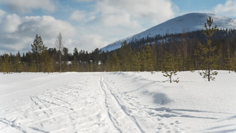 Hoitamaton hiihtolatu Ylläksellä