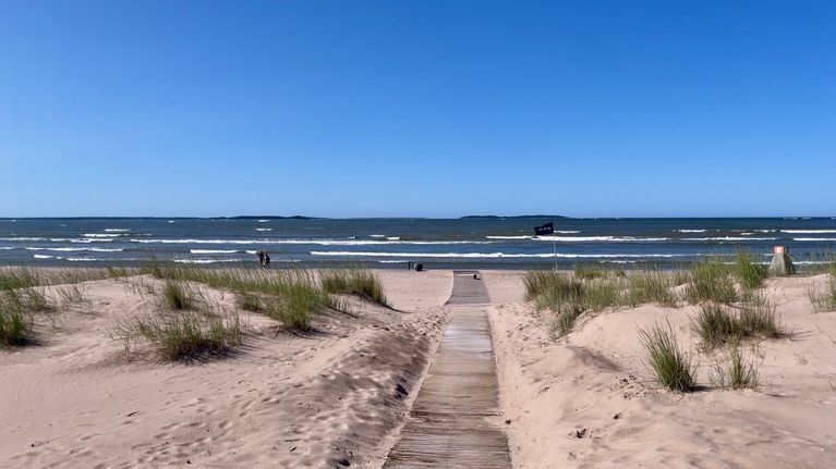 Aurinkoinen hiekkaranta merinäkymällä, jossa pieni kävelypolku johtaa rannalle rantakasvien keskeltä.