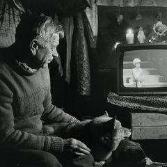 Mies katsoo televisiosta ohjelmaa, vierellään koira, kodikkaassa ja hämärästi valaistussa huoneessa.