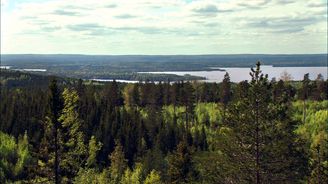 Paalasmaan saaristosta avautuu Pielisen suurselille silmiä hivelevä maisema.