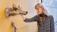 Päivi Hökkä.