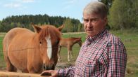 hevosvalmentaja Reijo Borgström ja Soraja-hevonen.
