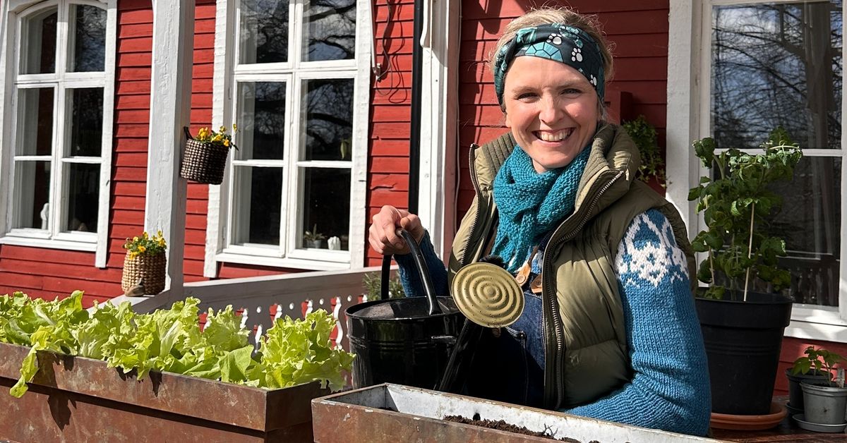 Onnistu parvekeviljelyssä tänä kesänä – tässä viisi asiaa, jotka kannattaa pitää mielessä
