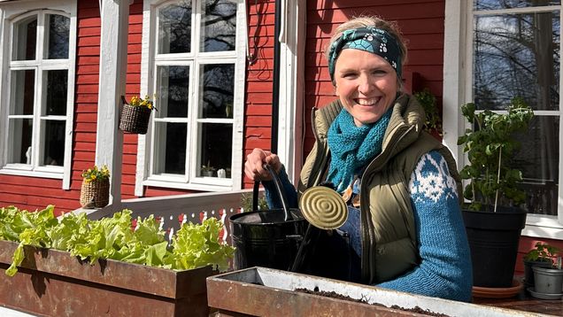 En kvinna som vattnar sallat i en balkonglåda.