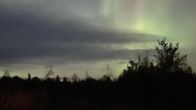 Revontulia ja tähtiä näkyy metsänreunan yllä yötaivaalla. 