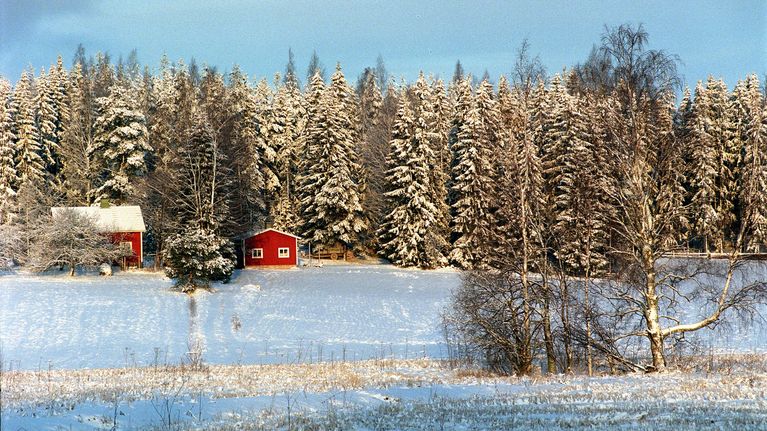 Punainen talo metsän laidalla talvisessa maisemassa.