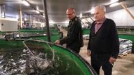 Kaksi miestä kala-altaan vierellä
