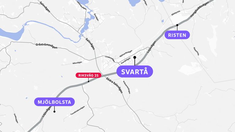 Bröder vill bygga stugby i Svartå – erbjuder Raseborg mark på ...